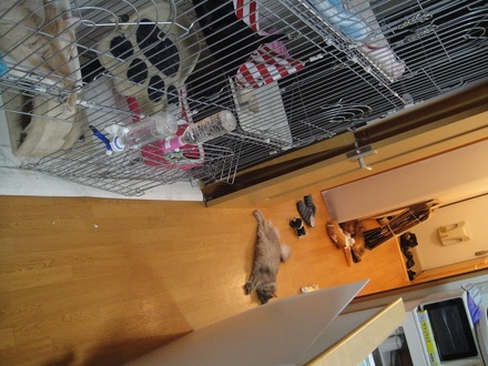 20110703000.jpg