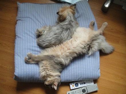 2011070601.jpg