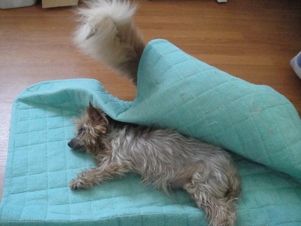 2011070602.jpg