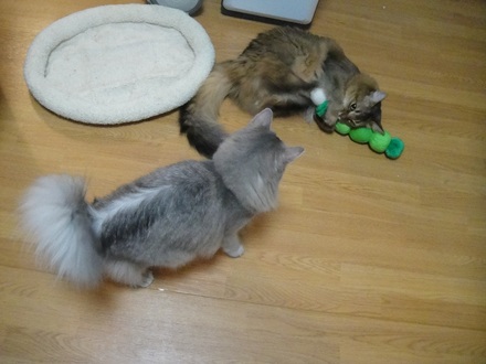 2011071001.jpg