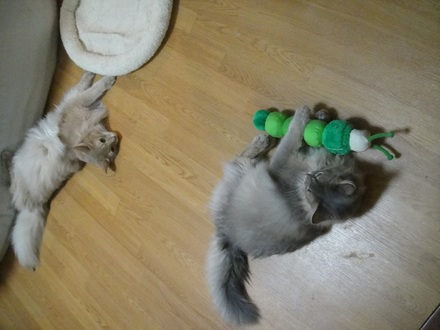 2011071002.jpg