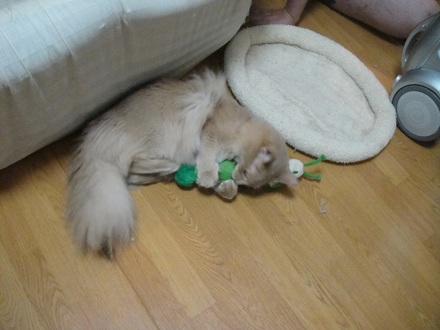 2011071003.jpg