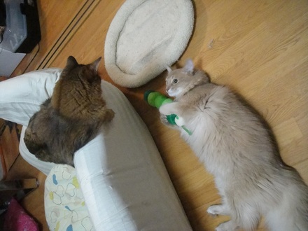 2011071004.jpg