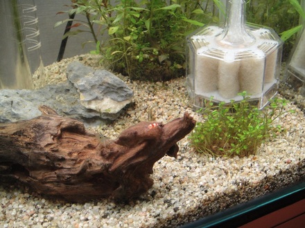 2011071301.jpg
