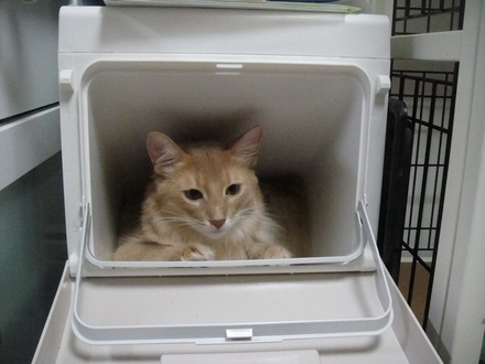 2011072001.jpg