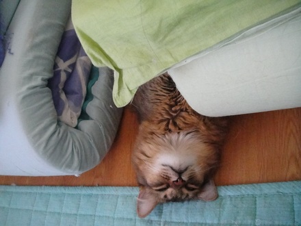 2011072002.jpg