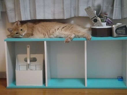2011072301.jpg