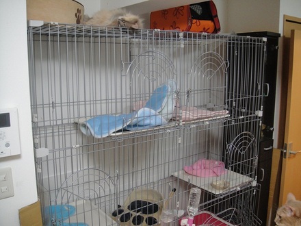 2011072400.jpg