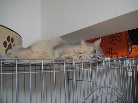 2011072401.jpg