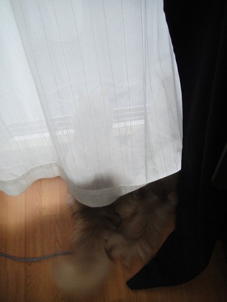 2011072501.jpg