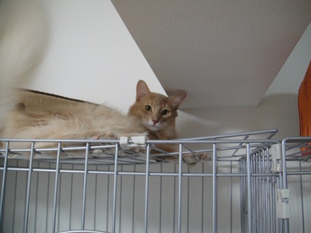 2011072600.jpg