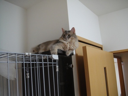 2011072601.jpg
