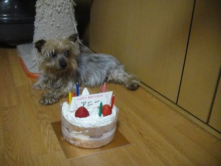 2011073101.jpg
