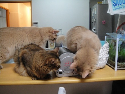 20110800704.jpg