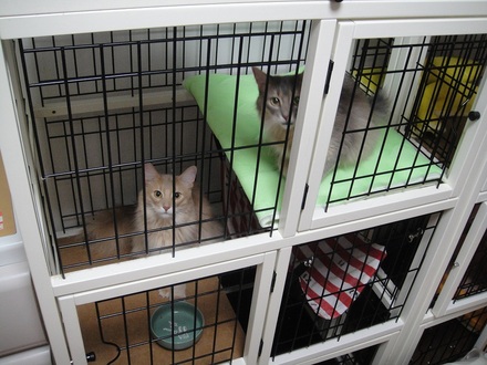 2011080100.jpg
