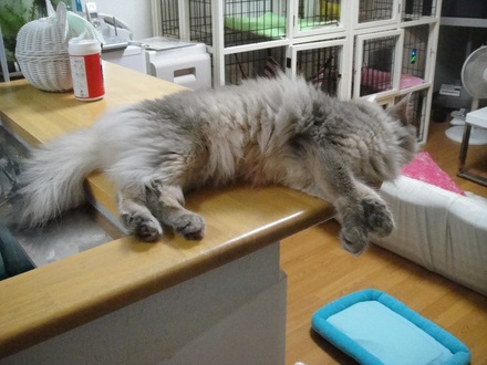 2011080301.jpg