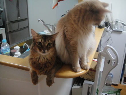 20110808001.jpg