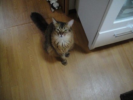 201108100.jpg