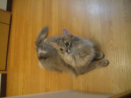 2011081101.jpg