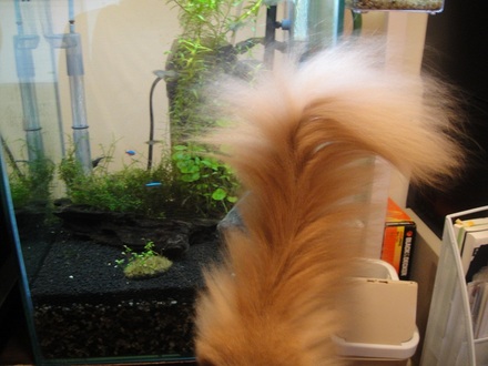 2011081300.jpg