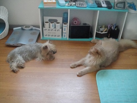 2011081400.jpg