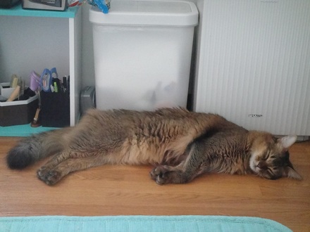 2011081401.jpg