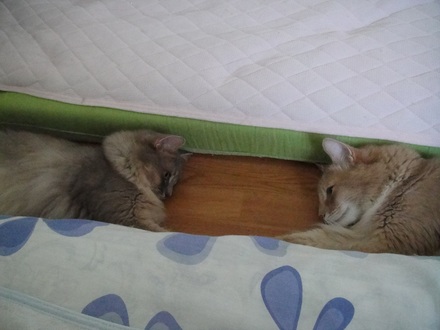 2011081500.jpg