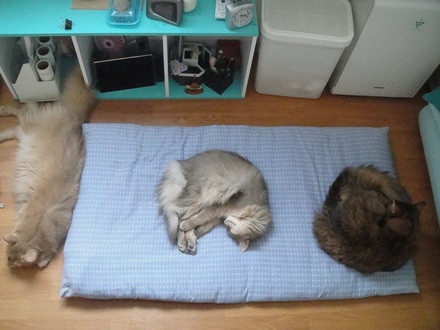 2011082100.jpg