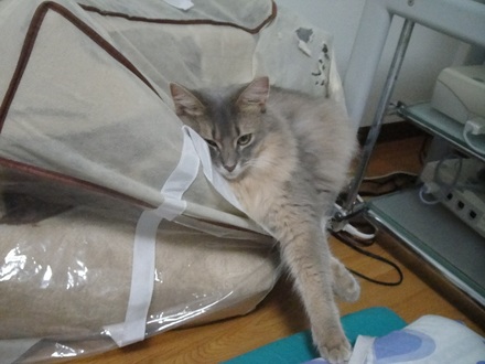 2011082201.jpg