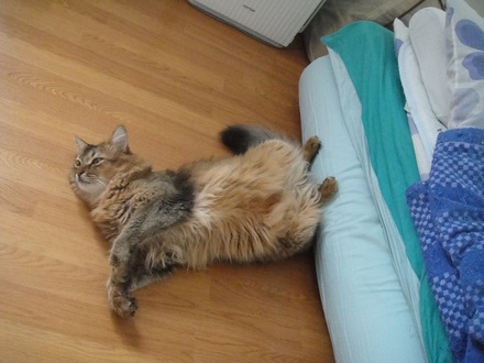 2011082202.jpg