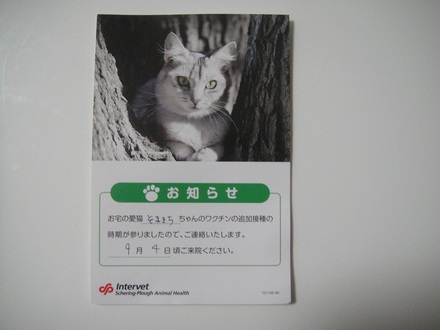2011082700.jpg