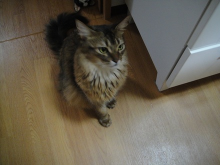 2011082701.jpg