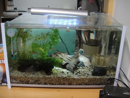 2011082800.jpg