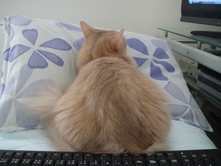 2011082801.jpg
