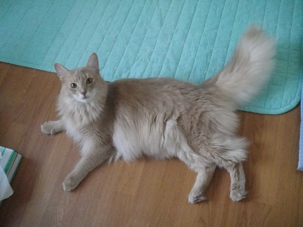2011082900.jpg