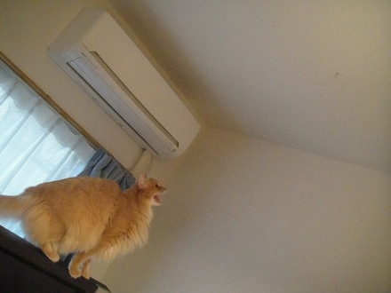 2011090200.jpg