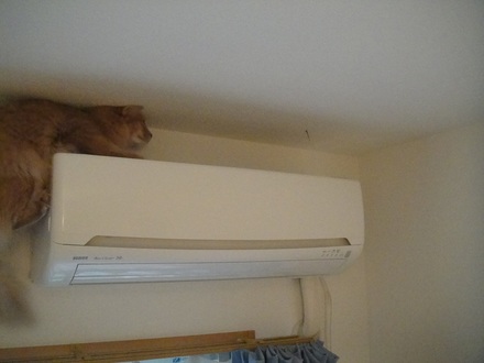 2011090201.jpg