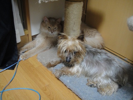 2011090203.jpg