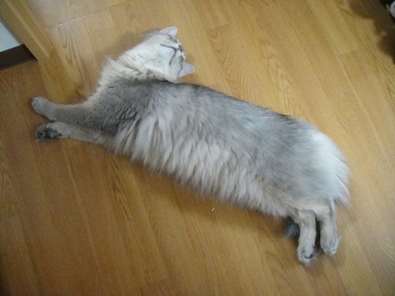 2011090400.jpg