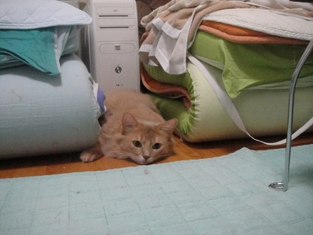 2011090402.jpg