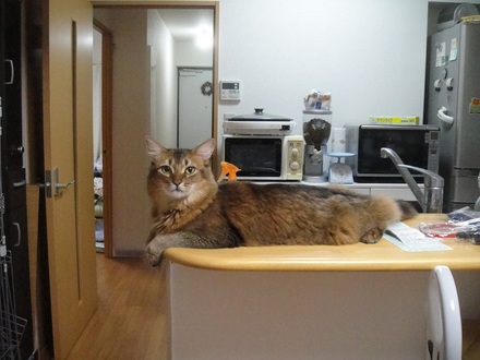 2011090800.jpg