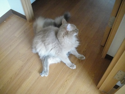 2011091000.jpg