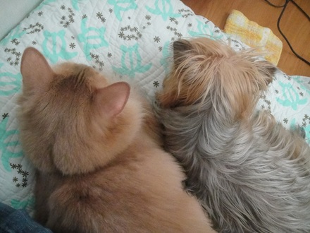 2011091400.jpg