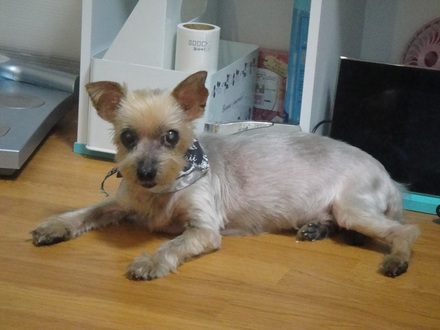 2011091401.jpg