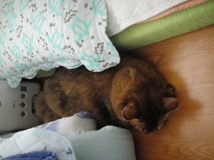 20110922.jpg