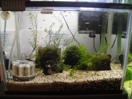 2011092500.jpg