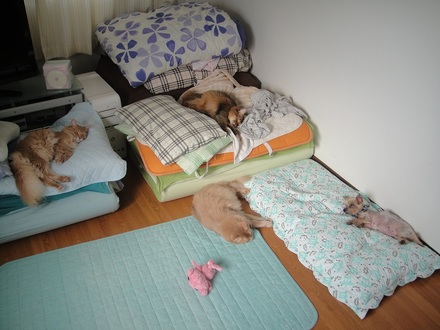 2011092501.jpg