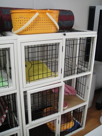 2011092701.jpg
