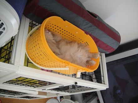 2011092702.jpg