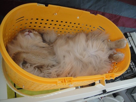 2011092703.jpg